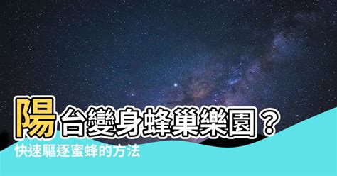 陽台 蜜蜂|【陽台有蜜蜂怎麼辦】陽台變身蜂巢樂園？快速驅逐蜜。